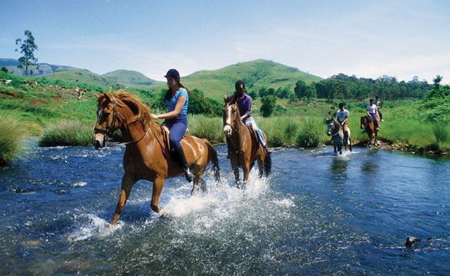 конные прогулки летом в России