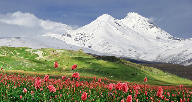 самая высокая гора Эльбрус