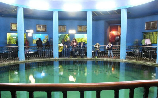 Музей-аквариум в Севастополе